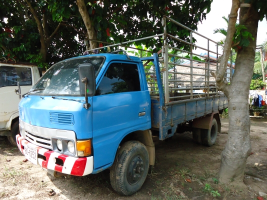 ขาย ISUZU KS กระบะคาร์โก้