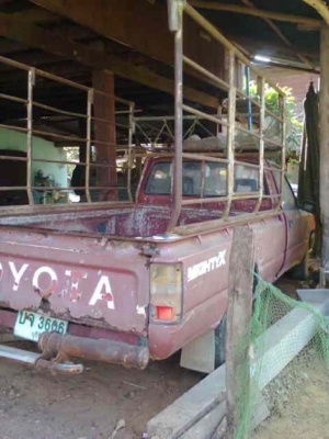 ขายไมตี้ X ปี 33 ขายไมตี้ X ปี 33