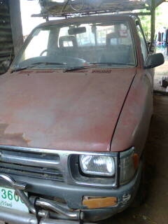 ขายไมตี้ X ปี 33 ขายไมตี้ X ปี 33