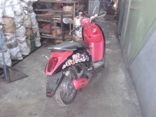 ขาย Scoopy iปี 54 26,000 สี ดำ ชมพู ราคาต่อรองได้