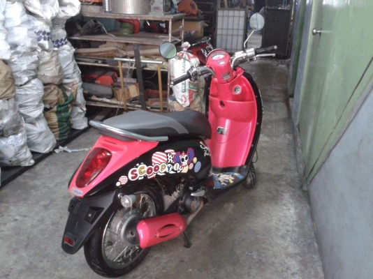 ขาย Scoopy iปี 54 26,000 สี ดำ ชมพู ราคาต่อรองได้