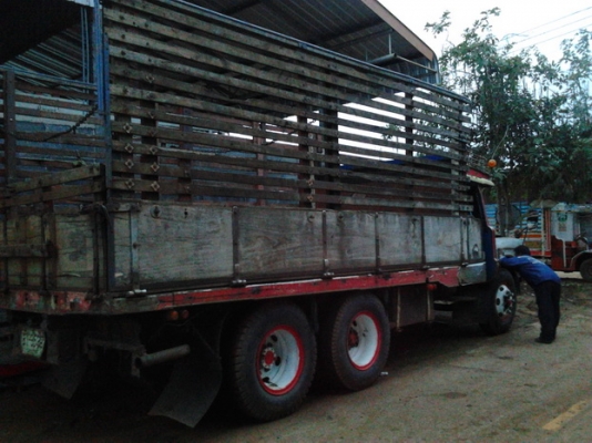 ISUZU TX 165 HP 6BD1 สิบล้อ 1 เพลา รถหัวยาว กระบะไม้คอกสูงเกษตรไม่ดั๊มพ์ ภายในพวงมาลัยเพาเวอร์ ช่วงล่างใหญ่ของฮีโน่ KT 925 คัชซีสวยไม่มีผุ ยางสภาพดี 80\% เอกสารทะเบียนครบพร้อมโอนครับ