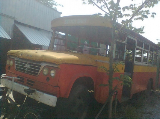 สคูลบัส dodge