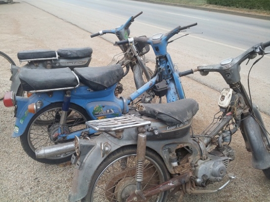 ขาย c-70 supercup 6900 บาท