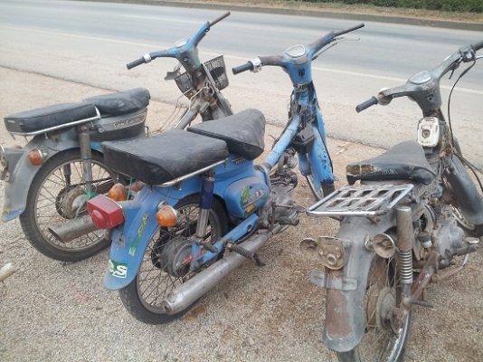 ขาย c-70 supercup 6900 บาท