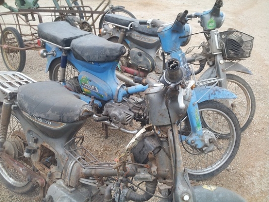 ขาย c-70 supercup 6900 บาท