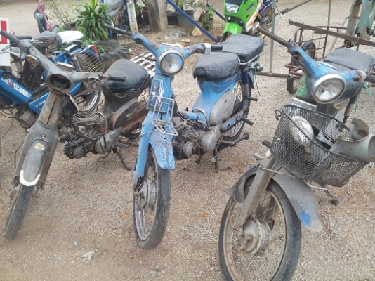 ขาย c-70 supercup 6900 บาท