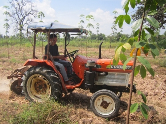 ขายด่วน รถ Kubota L1802 พร้อมผานพรวน 4 , และคราด