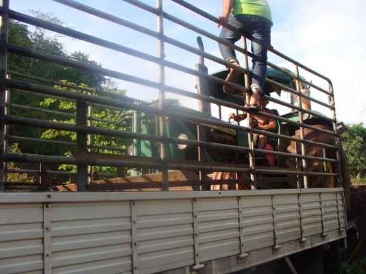 บริการขนส่ง รถไถ ด้วยรถบรรทุก6-10 เทเลอร์ ทุกขนาด084-8175241