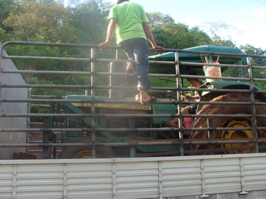 บริการขนส่ง รถไถ ด้วยรถบรรทุก6-10 เทเลอร์ ทุกขนาด084-8175241