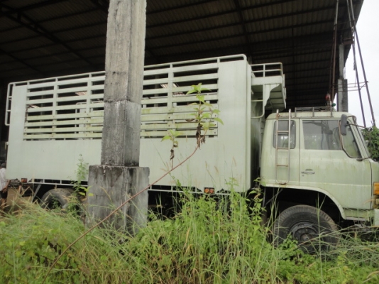 HINO F18 สองเพลา ไม่ดั้ม (มีกระบอกดั้มชุดเดิมให้ค่ะ) เล่มทะเบียนพร้อมค่ะ HINO F18 สองเพลา ไม่ดั้ม (มีกระบอกดั้มชุดเดิมให้ค่ะ) เล่มทะเบียนพร้อมค่ะ