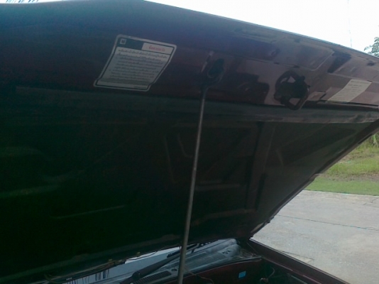 ขายดราก้อนอายปี97รถได้เดิมๆทั้งคันไม่เคยใช้งานหนักสีเต็มแต่ซีดจางตามอายุ ขัดเงาขึ้น เครื่องดีไม่ไอไม่พ่นแห้งๆรถได้เดิมบางคัสซีสวยช่วงล่างแน่นขี่ดีล้อขอบ15พร้อมเข้าสวน ขายดราก้อนอายปี97รถได้เดิมๆทั้งคันไม่เคยใช้งานหนักสีเต็มแต่ซีดจางตามอายุ ขัดเงาขึ้น เครื่องดีไม่ไอไม่พ่นแห้งๆรถได้เดิมบางคัสซีสวยช่วงล่างแน่นขี่ดีล้อขอบ15พร้อมเข้าสวน