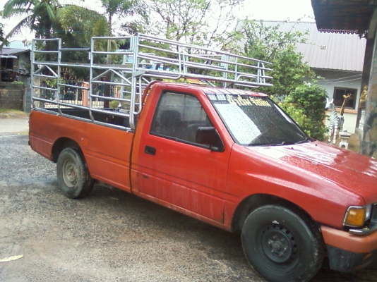 มังกรทอง หัวเดียว อยู่สารคาม