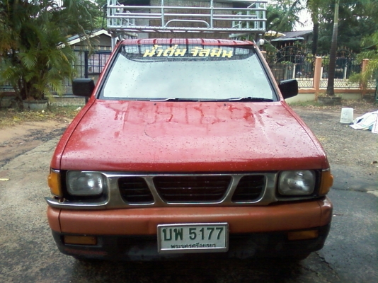 มังกรทอง หัวเดียว อยู่สารคาม