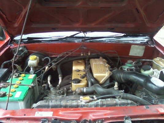 มังกรทอง หัวเดียว อยู่สารคาม มังกรทอง หัวเดียว อยู่สารคาม