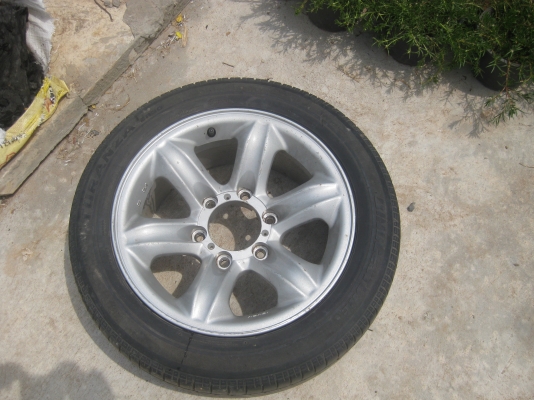 ขายแม็กซ์เล็บเหยี่ยว1วง