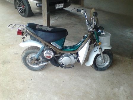 ลดราคาวันสุดท้ายคันสุดท้าย 6,800 บาท ชิปปี้  (ขายไม่จะเอาให้ที่บ้านใช้)