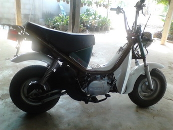 ลดราคาวันสุดท้ายคันสุดท้าย 6,800 บาท ชิปปี้  (ขายไม่จะเอาให้ที่บ้านใช้)