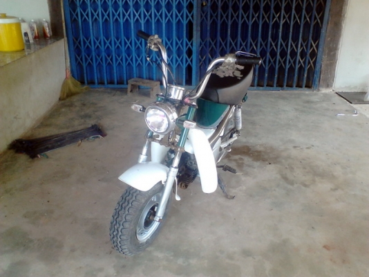 ลดราคาวันสุดท้ายคันสุดท้าย 6,800 บาท ชิปปี้  (ขายไม่จะเอาให้ที่บ้านใช้)