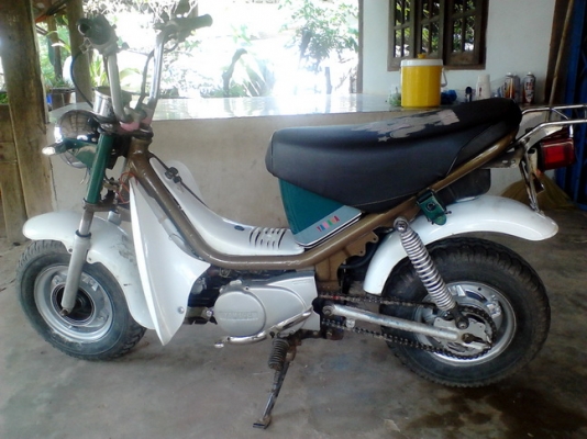 ลดราคาวันสุดท้ายคันสุดท้าย 6,800 บาท ชิปปี้  (ขายไม่จะเอาให้ที่บ้านใช้)