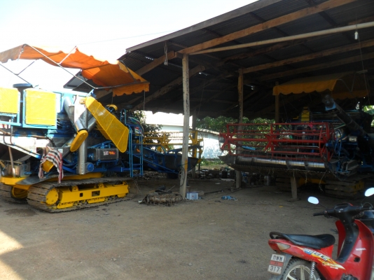 ขายไอ้หนุ่มไวไฟ