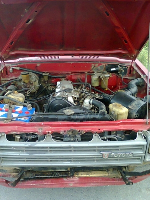 ม้ากระโดด ดีเชล สวยสวย 4ขอ