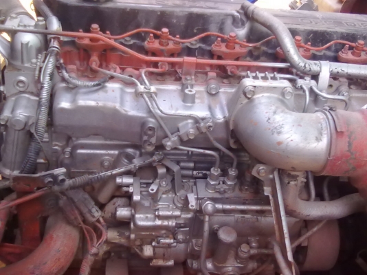 ต้องการขายร็อคกี้ดั้ม 195 OHC