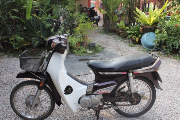 ดรีมคุรุสภาสตาร์ทมือทะเบียนโอนถูกๆ9800บาท