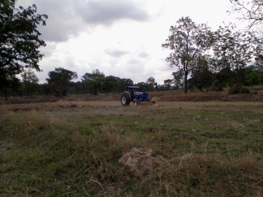 รถไถ FORD T3 เพลาเดียว บุรีรัมย์ โทร 085-2087950