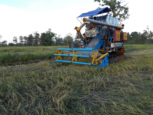 ขายรถเกี่ยวข้าววรพจน์การข่างพร้อมลุยงาน สภาพ95  \%  ลงงานแล้ว