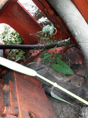 หัวหนีบ คอนกรีต ใส่ PC200-300 หัวหนีบ คอนกรีต ใส่ PC200-300