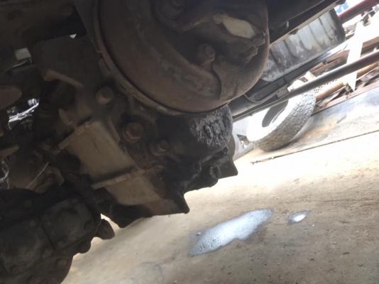 ขาย สโล ร็อกกี่