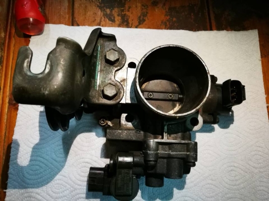 ลิ้นปีกผีเสื้อ