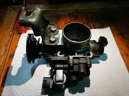 ลิ้นปีกผีเสื้อ ลิ้นปีกผีเสื้อ