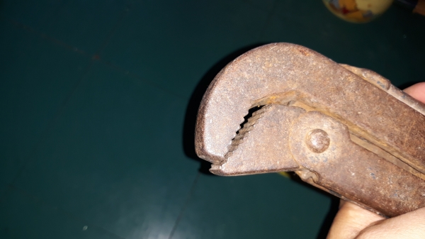 ขายคอม้าACESA MADE IN SPAIN. งานเก่ามือสอง ขายคอม้าACESA MADE IN SPAIN. งานเก่ามือสอง
