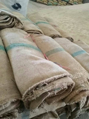 ขายกระสอบป่านเกรด A ราคา 11 บาท ใส่ข้าวสารได้ มีเป็นล้านใบ