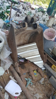 ขาย แบคโฮ KOMATSU PC120-2 ตัวเดิน 12 HT ติดมือคีบขยุ้ม มีบุ้งกี๋ให้ด้วย เครื่องดี ปั้มดี เอวแน่น ช่วงล่าง 80\% เอกสารใบซื้อขาย ขาย แบคโฮ KOMATSU PC120-2 ตัวเดิน 12 HT ติดมือคีบขยุ้ม มีบุ้งกี๋ให้ด้วย เครื่องดี ปั้มดี เอวแน่น ช่วงล่าง 80\% เอกสารใบซื้อขาย