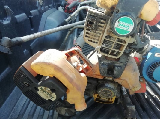 ขายเหมา 15 ตัว