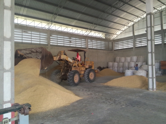 ขาย รถตักล้อยาง TCM 830 สภาพพร้อมใช้งาน