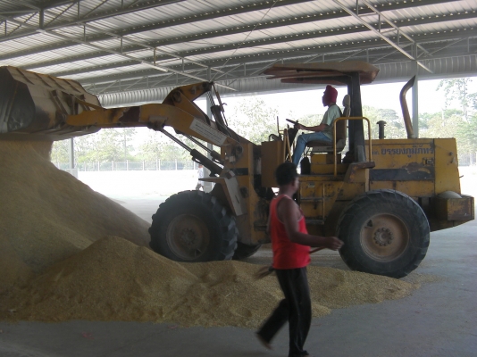 ขาย รถตักล้อยาง TCM 830 สภาพพร้อมใช้งาน ขาย รถตักล้อยาง TCM 830 สภาพพร้อมใช้งาน