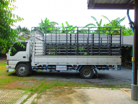 ISUZU NPR 135 ตาเพชร กระบะยาว 5เมตรLPGจากโรงงานมือเดียว ISUZU NPR 135 ตาเพชร กระบะยาว 5เมตรLPGจากโรงงานมือเดียว