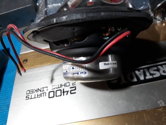 Morel Hybrid Ovation 4