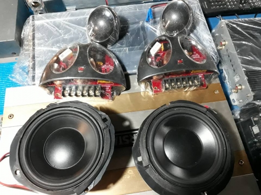 Morel Hybrid Ovation 4