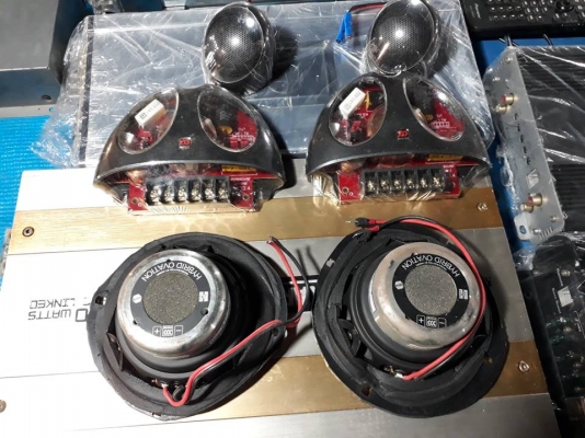 Morel Hybrid Ovation 4