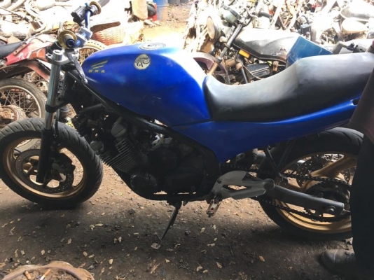 Yamaha Diversion400