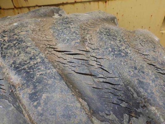 ขายรถตัก ยี่ห้อTCM รุ่น 835 ขายรถตัก ยี่ห้อTCM รุ่น 835