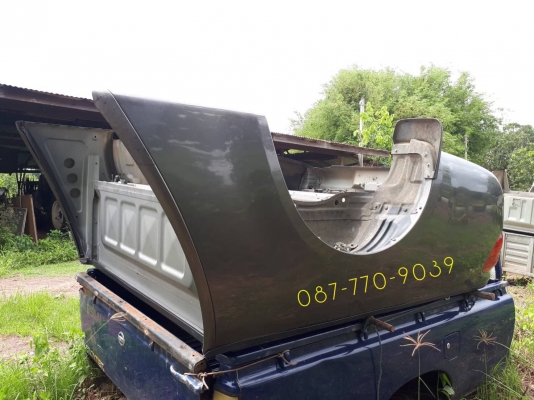 ขายลูกกะบะ ไทรตั้น แคป ขายลูกกะบะ ไทรตั้น แคป