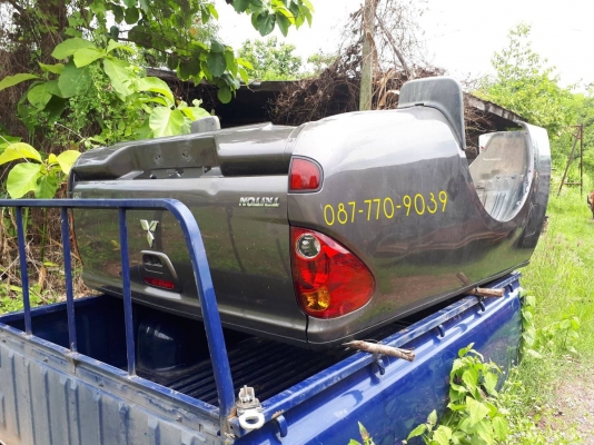 ขายลูกกะบะ ไทรตั้น แคป