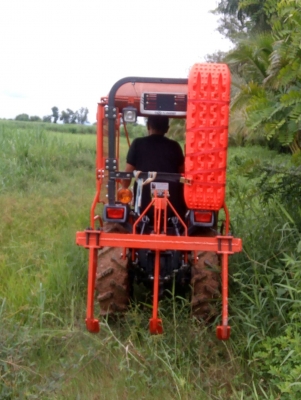 ริปเปอร์เล็กเข้่าร่องอ้อย