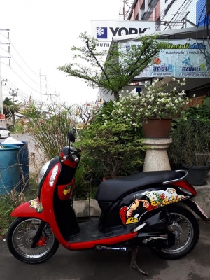All New Scoopy i รุ่นใหม่ ปลายปี 2555 สีแดงดำ รถสวย ราคาชิวๆถูกๆ